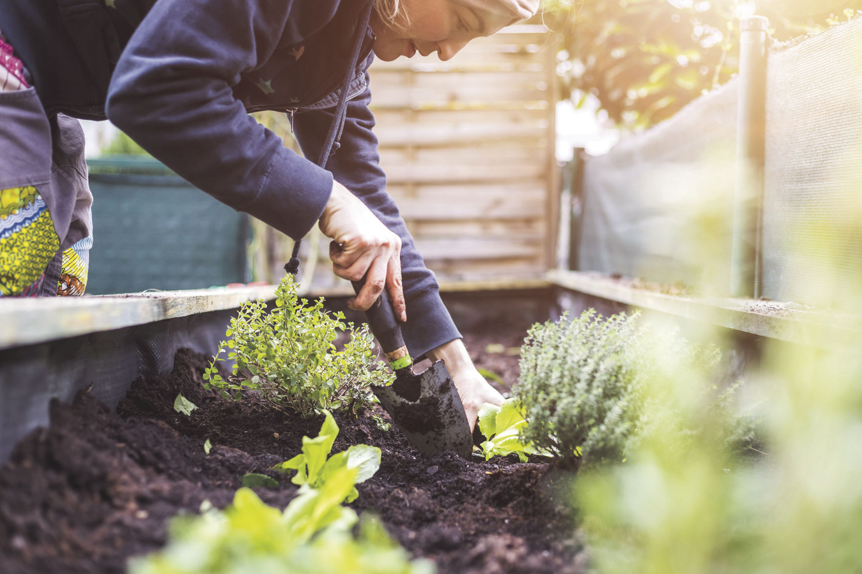 What kind of space do potential seed-savers need to have?
